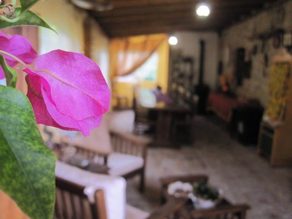 La Pietra Rara B&B Montone  Eksteriør billede
