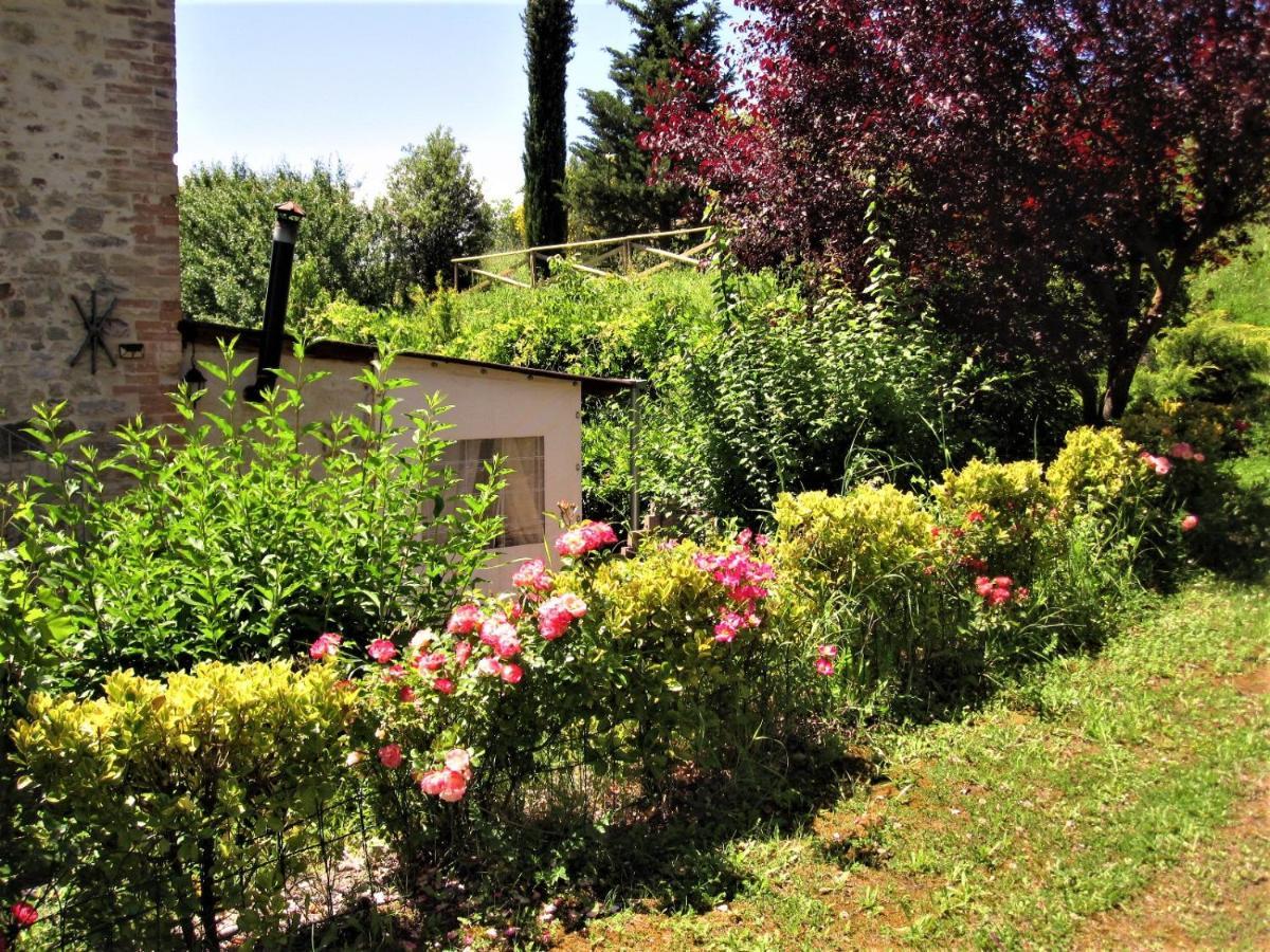 La Pietra Rara B&B Montone  Eksteriør billede