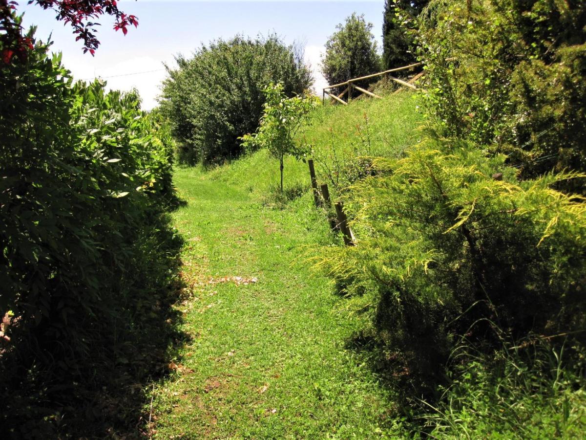 La Pietra Rara B&B Montone  Eksteriør billede